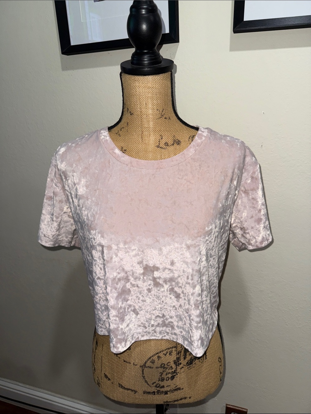 Aeropostale Light Pink Crushed Velvet Crop Top